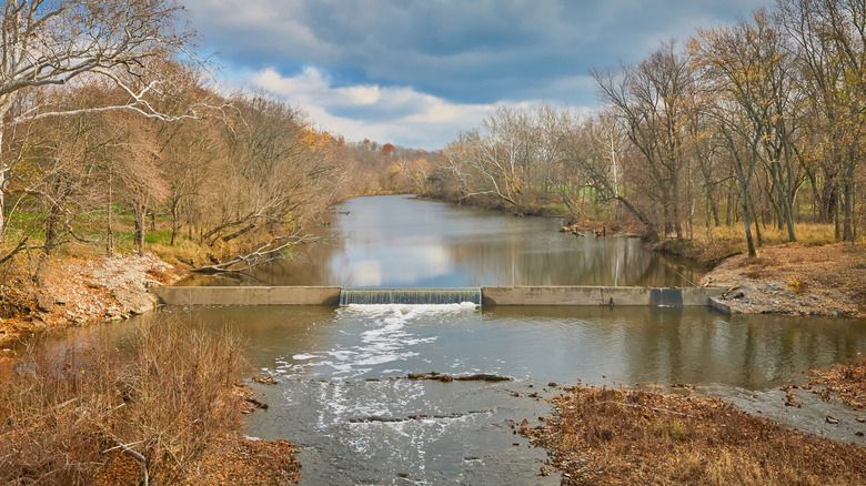 A low head dam in a river with trees on either bank