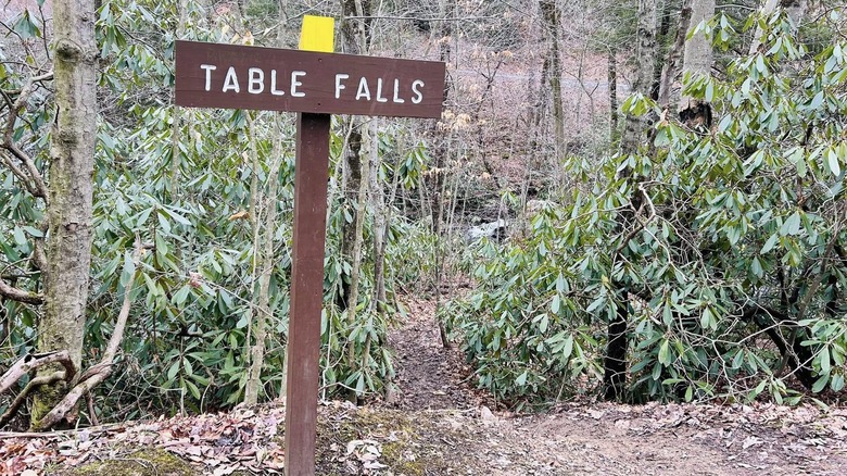 Woodland trail to Table Falls, Pennsylvania
