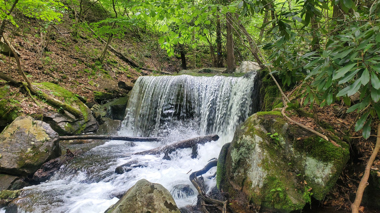 Table Falls in Pennsylvania