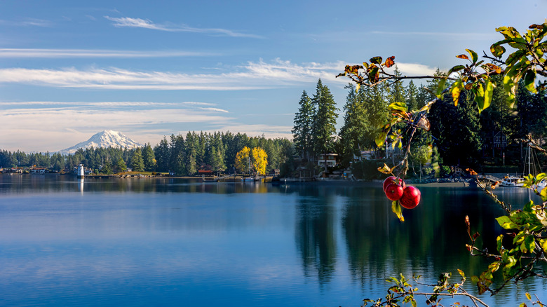 Mount Rainier and forests from Fox Island on a sunny day