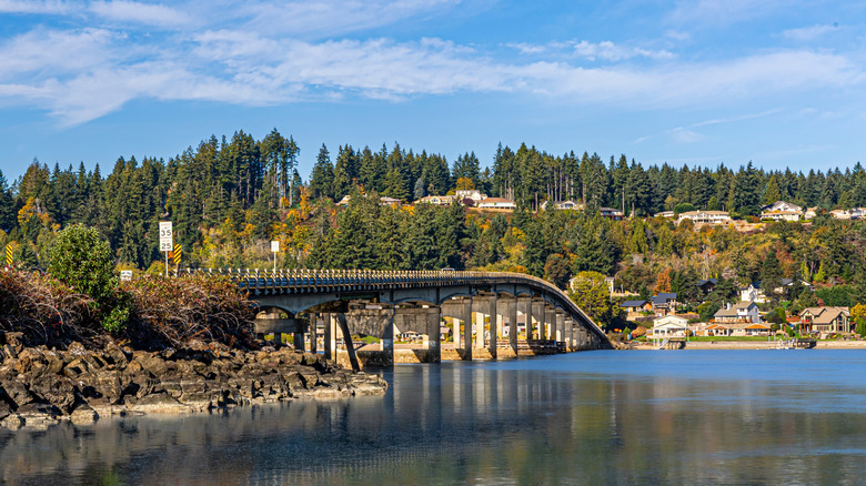 The Fox Island Bridge, surrounded by trees