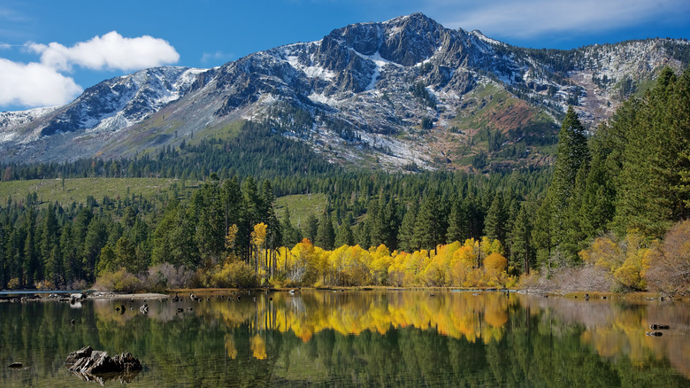 Snow-covered mountains rise above Fallen Leaf Lake, while aspens with yellow leaves and pines line the shore.