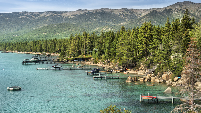 Lake Tahoe shore featuring trees, mountains, and several docks