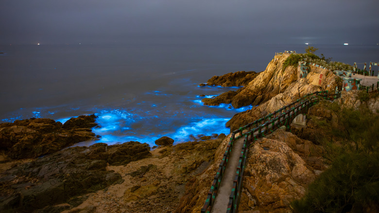 Blue bioluminescent single celled oranisms light up the ocean at Iron Fort in Nangan, Taiwan