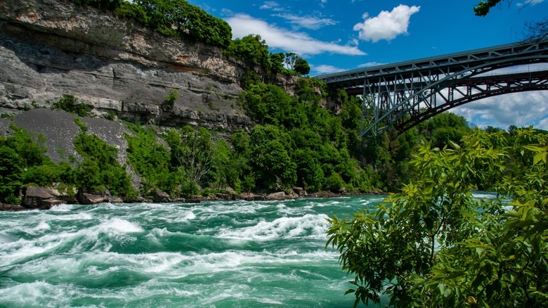 The powerful rapids of Niagara River flow through a lush green gorge