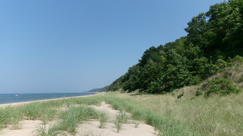 Beach dunes on a lake 