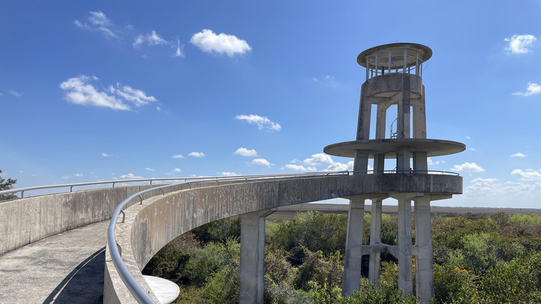 The observation tower in Shark Valley, part of Everglades National Park, surrounded by greenery