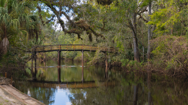 Hillsborough River State Park trail bridge