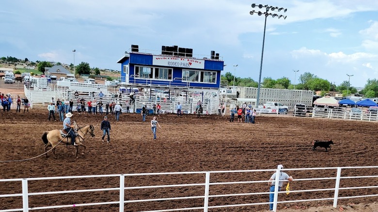 Person on horseback and crowd of people at a rodeo in Taylor Rodeo Park