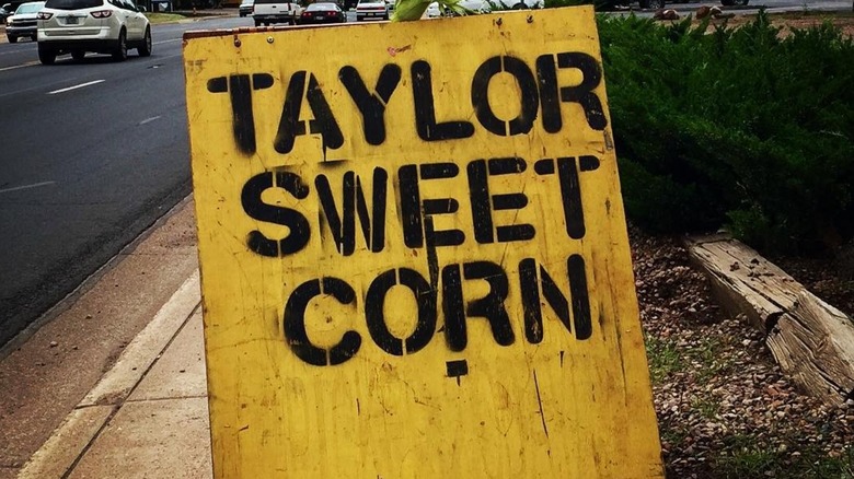 Spray painted Taylor Sweet Corn sign with black letters on yellow placard on a sidewalk.