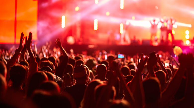 A lively music festival with a huge crowd