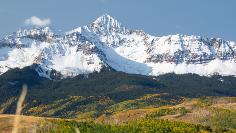 Snow-covered Wilson Peak with fall foliage in the foreground