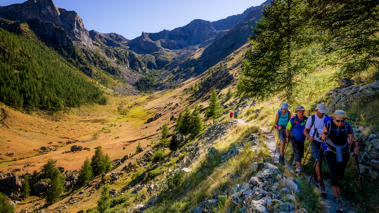 Hikers walk a trail through forest on the side of a mountain in France's Mercantour National Park