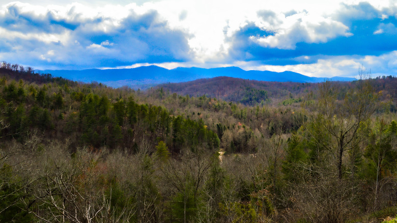 Cherokee National Forest under a cloudy blue sky