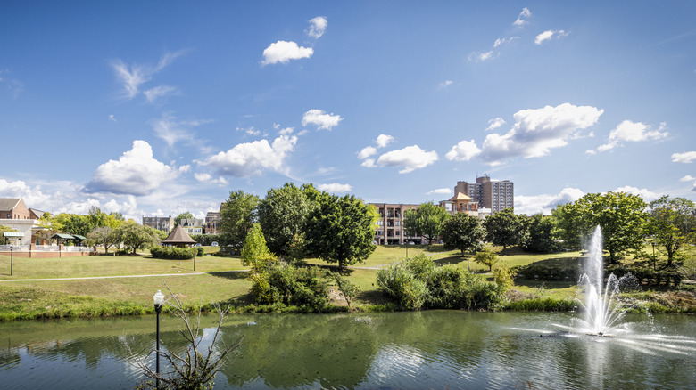 A forested park in Maryville, Tennessee