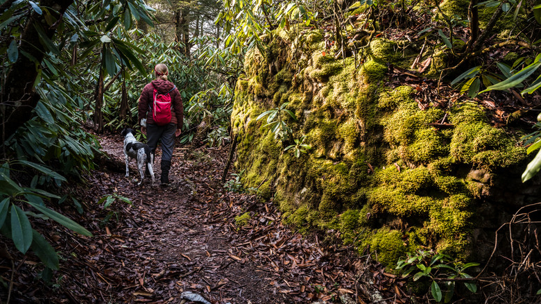 Woman and dog hike mossy green path