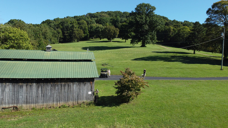 rolling green hills in Smyrna, Tennessee