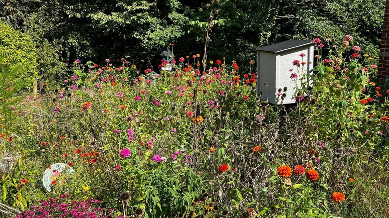Mini meadow at Tipton County Museum