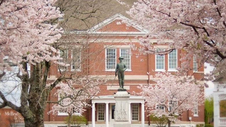 Covington's Historic Square with blossoming cherry trees