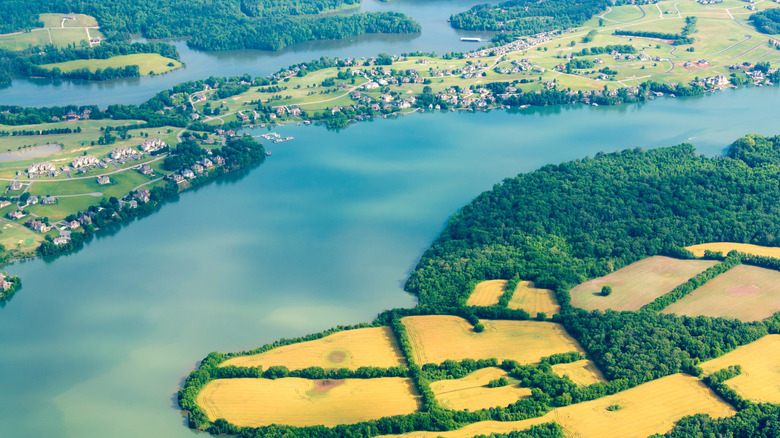 Aerial shot of Lake Tellico