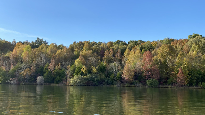 A view of Tellico Lake in fall