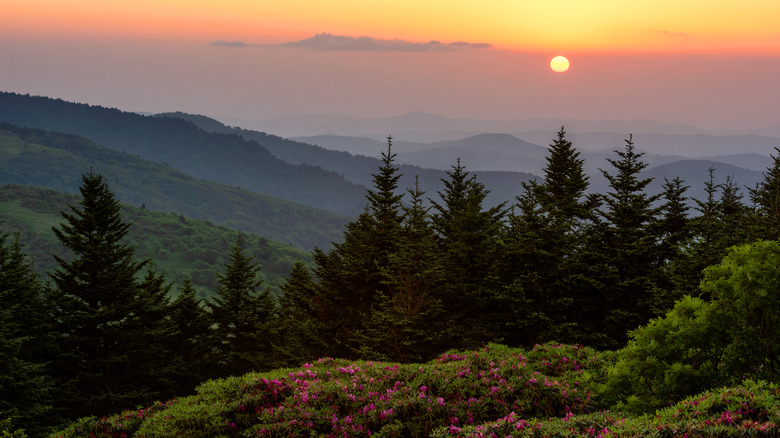 sunset from Roan Mountain, TN