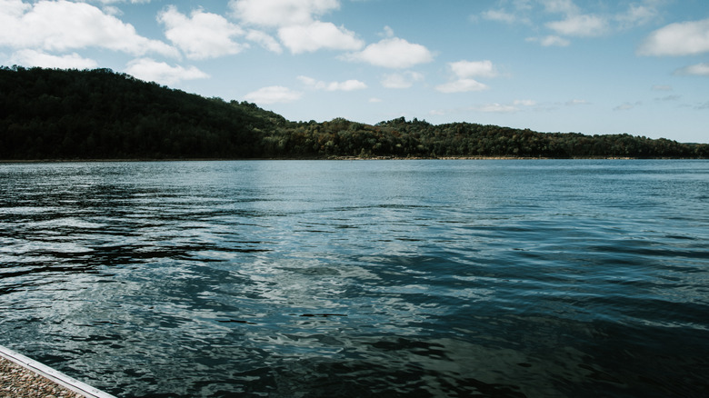Center Hill Lake viewed from a marina