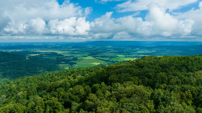 View of Monteagle Tennessee green forest blue sky