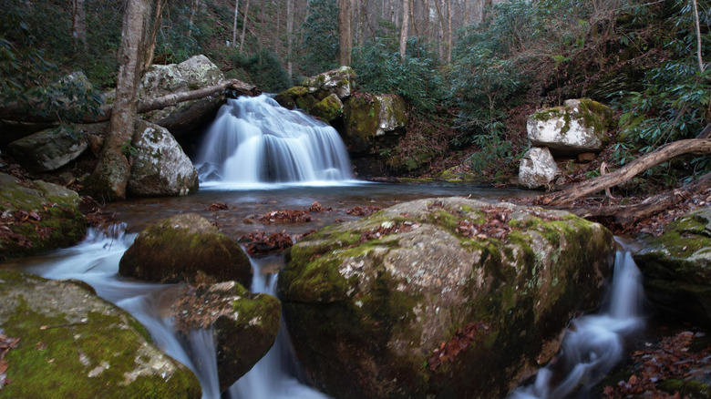 one of many cascades along Dry Creek, on the trail to Margarette Falls
