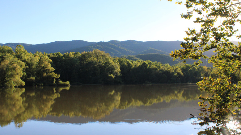 Trees reflecting off of the water at Cove Lake State Park, Tennessee