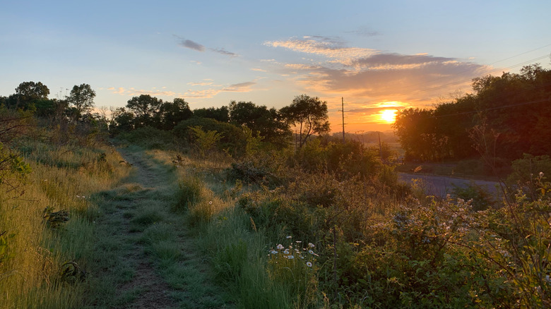Sunrise view from a trail at Seven Islands State Birding Park in Tennessee