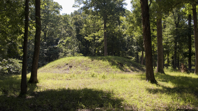 Large grass mound with trees, Shiloh National Park