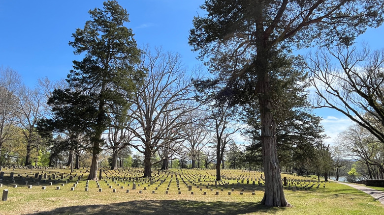 Trees and gravestones at Shiloh National Park