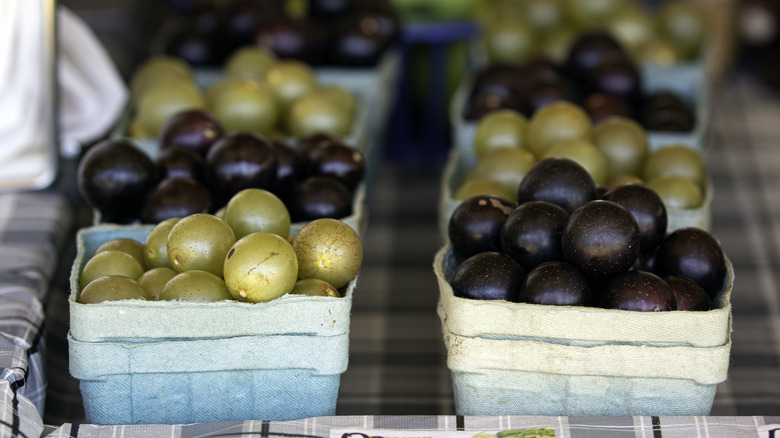 Muscadine grapes in a box
