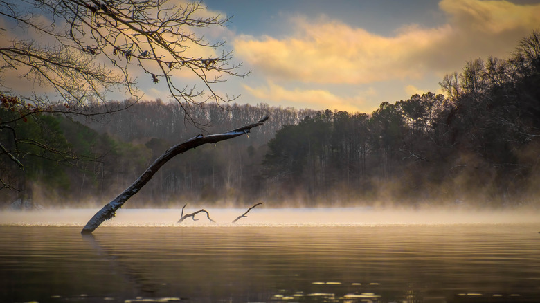 grundy lakes in South Cumberland State Park