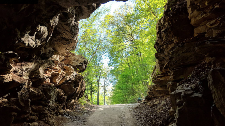 A view of Cardwell Mountain State Archaeological Park through the Cumberland Caves
