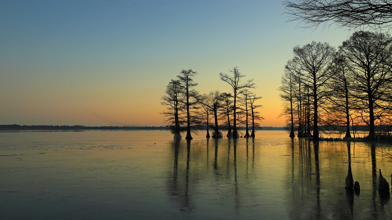 Tennessee's Reelfoot Lake under a colorful sunrise