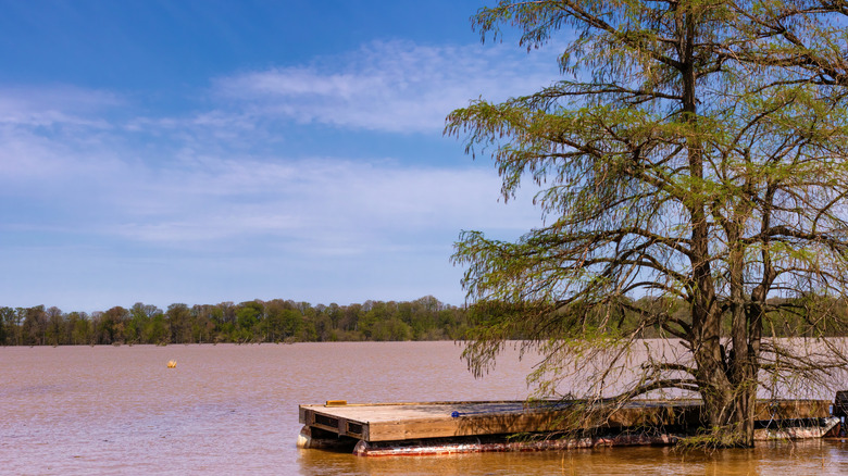 Reelfoot Lake in Tiptonville, Tennessee