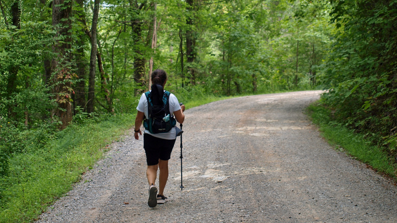 Hiker walking on a wooded gravel road
