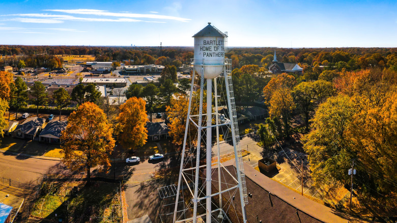 water tower and trees of downtown Bartlett