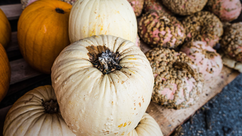a pile of pumpkins and other fruits at the Amish Market in Nolensville, Tennessee