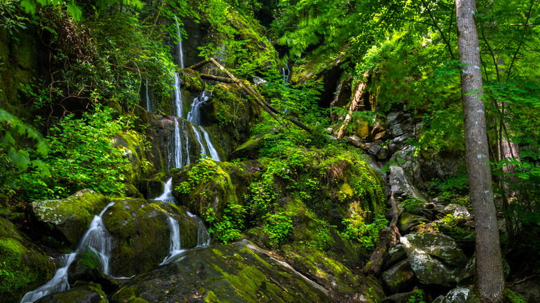 Place of a Thousand Drips waterfall in the Great Smoky Mountains National Park on the Tennessee side near Gatlinburg