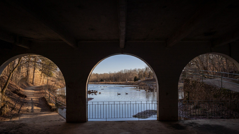 View from the gates of Dunbar Park State Park