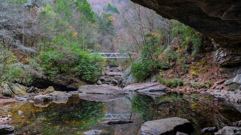 Bridge and foliage over Chickamauga Lake