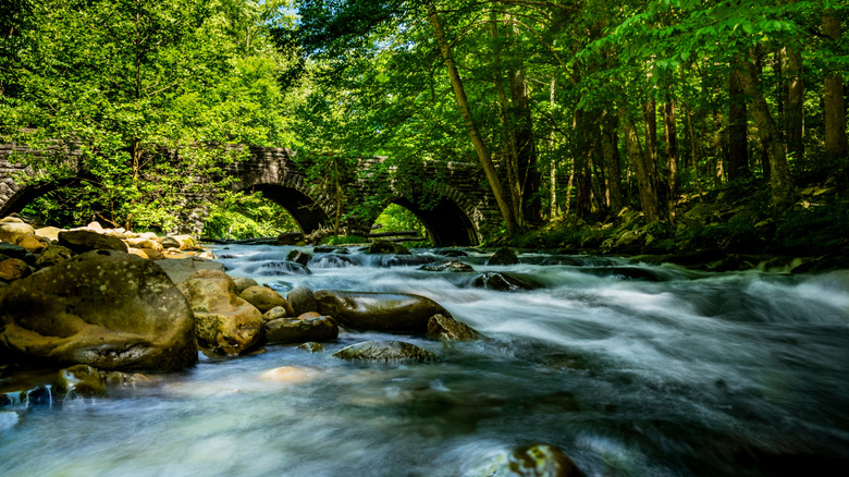 Rushing river stone bridge in Elkmont, Tennessee