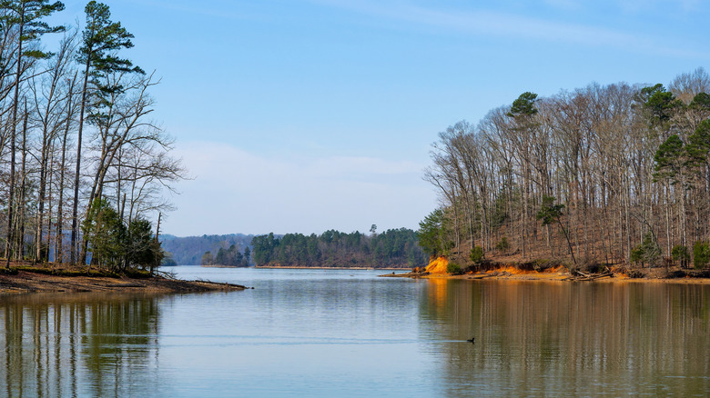 An inlet of the Chickamauga Lake in Harrison Bay State Park in Chattanooga, Tennessee