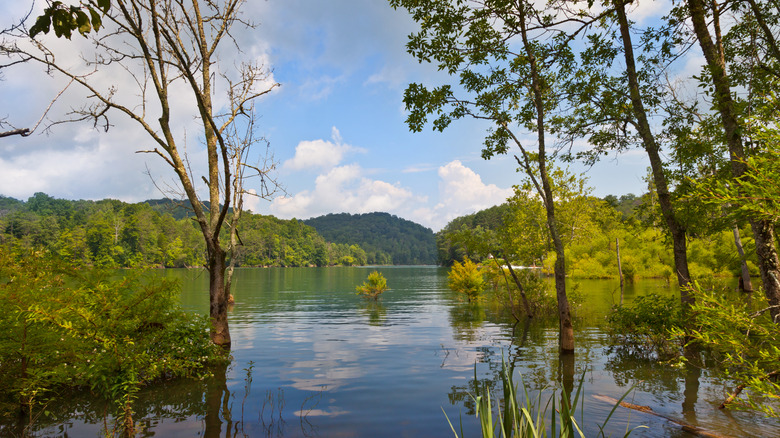 Big Ridge State Park water view in sunlight
