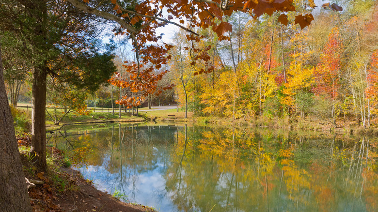 View of lake at Tennessee Big Ridge State Park in autumn framed by orange and yellow trees