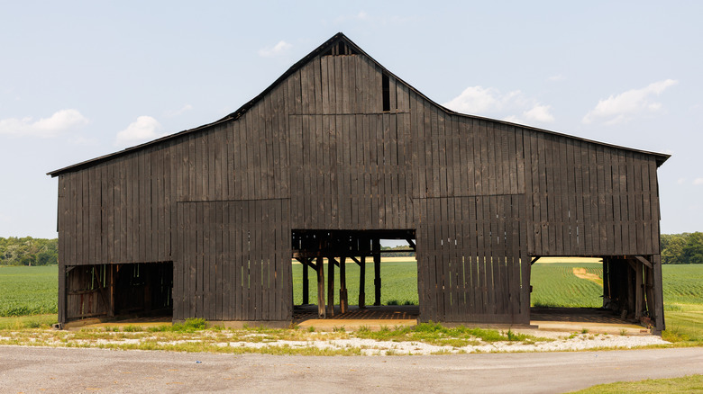 Dark wooden tobacco barn, middle of Tennessee