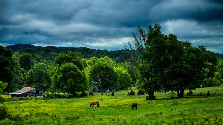 Small farm outside Nashville TN